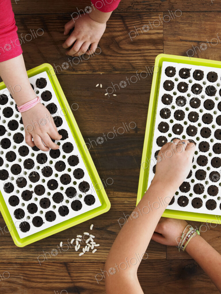 View from overhead of two children planting seeds into a seed growing tray.