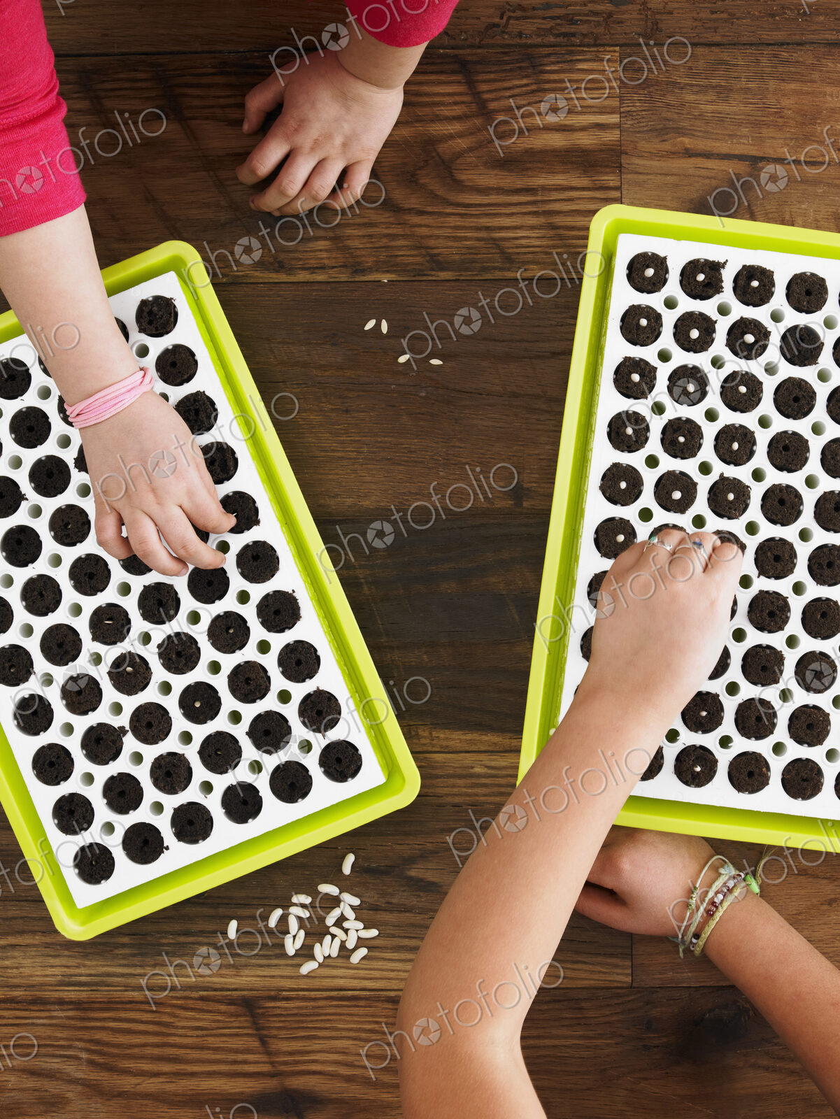 View from overhead of two children planting seeds into a seed growing tray.