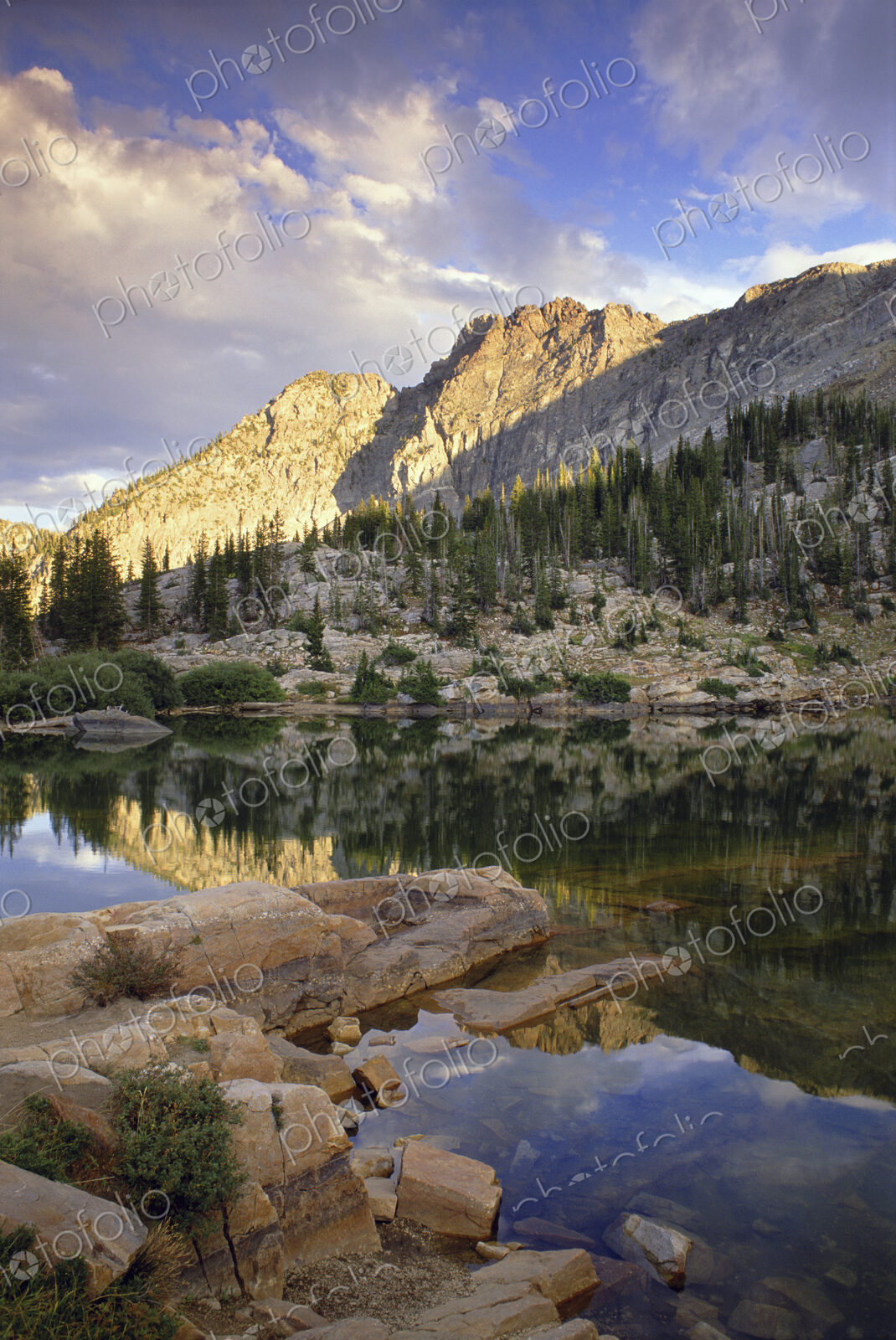 View from the Albion Basin valley floor, to the Wasatch Mountains, and the landscape…