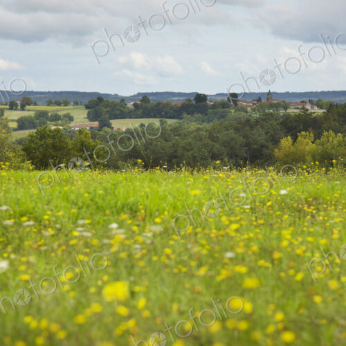 View of French Village from field of Wild Flowers View of French Village from field of Wild Flowers