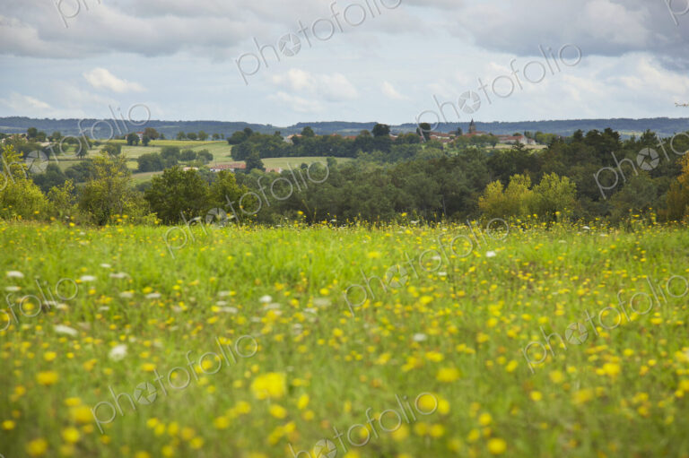 View of French Village from field of Wild Flowers