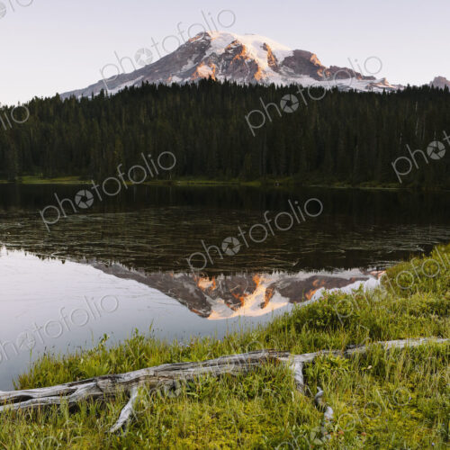 View of Mount Rainier from Reflection Lakes at dawn in Mount Rainier national park. View of Mount Rainier from Reflection Lakes at dawn in Mount Rainier national park.