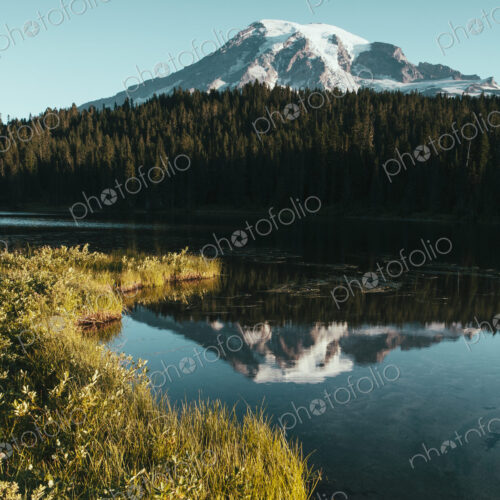 View of Mount Rainier from Reflection Lakes at dawn in Mount Rainier national park. View of Mount Rainier from Reflection Lakes at dawn in Mount Rainier national park.