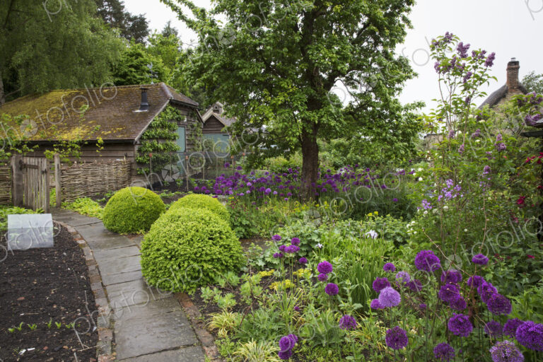 View of garden with flowerbed with shrubs and purple flowers and plant bed divided by…