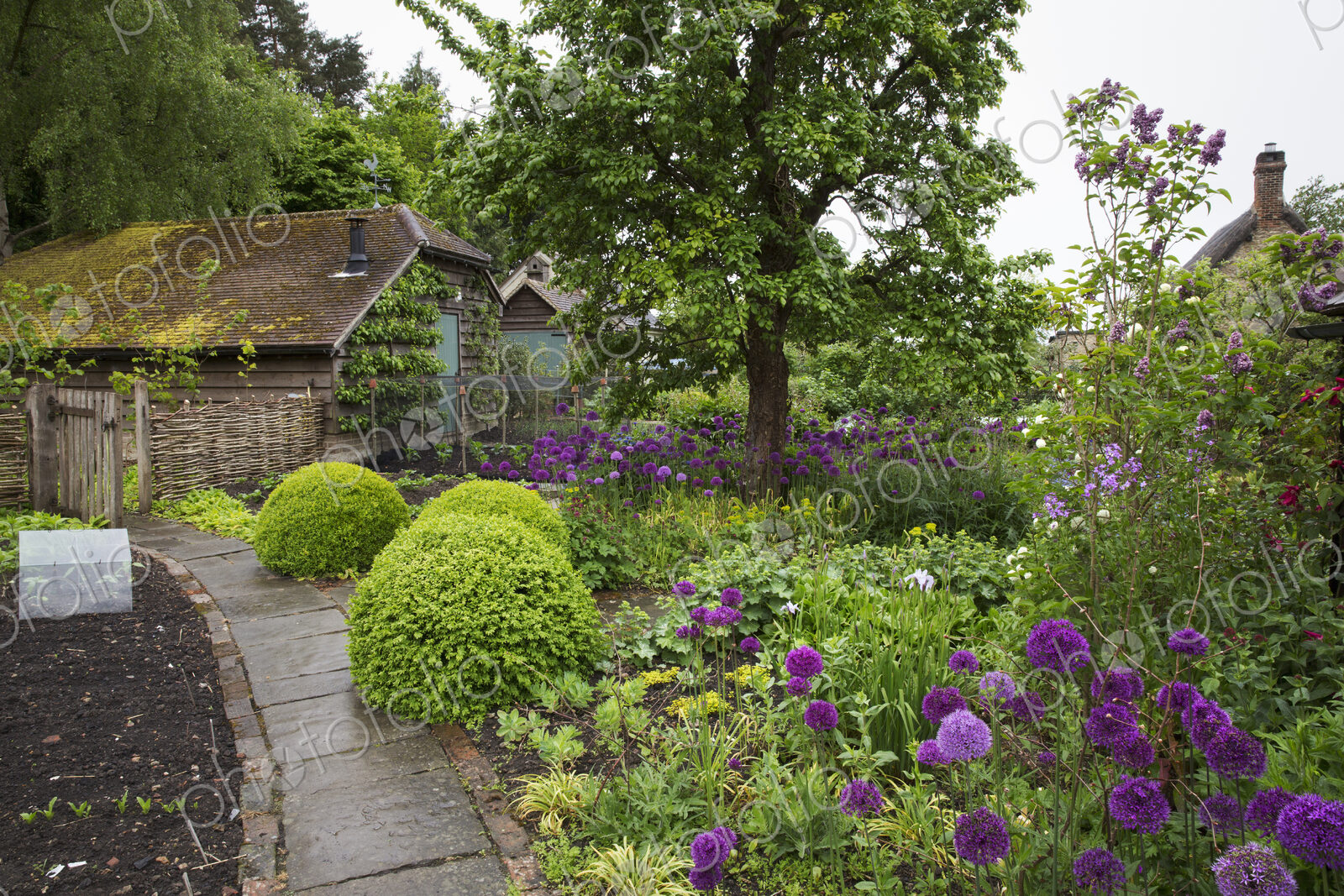 View of garden with flowerbed with shrubs and purple flowers and plant bed divided by…