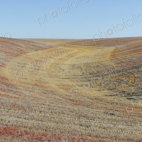 View of rolling hills and farmland