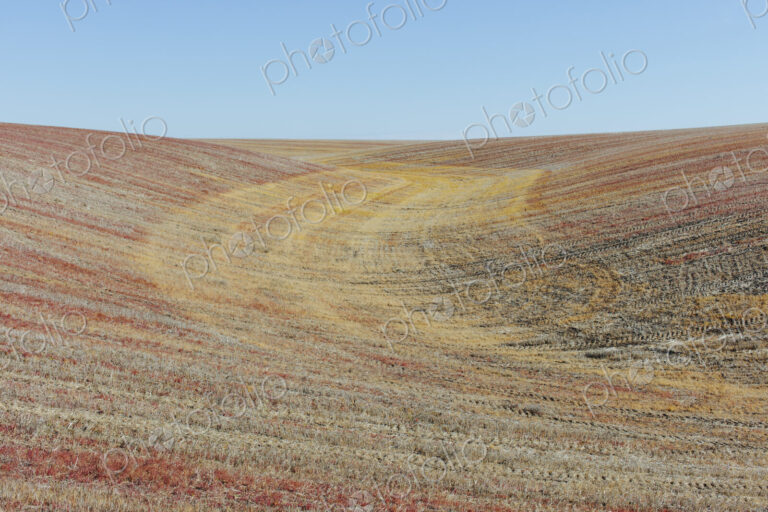 View of rolling hills and farmland