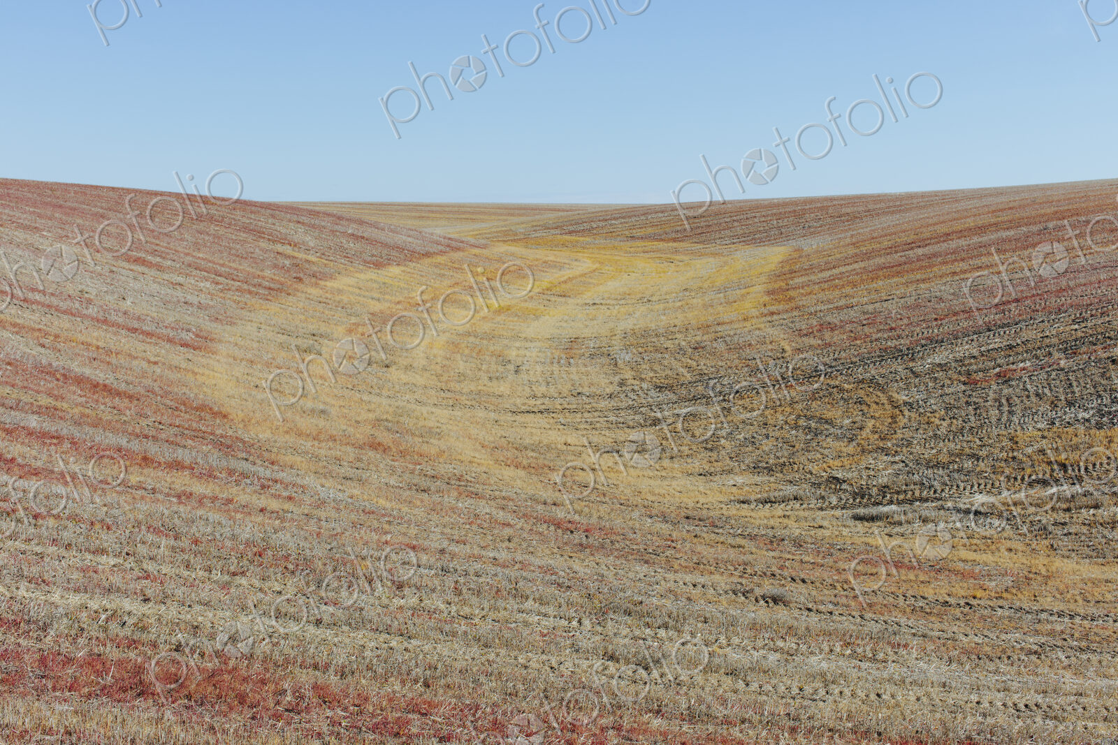 View of rolling hills and farmland