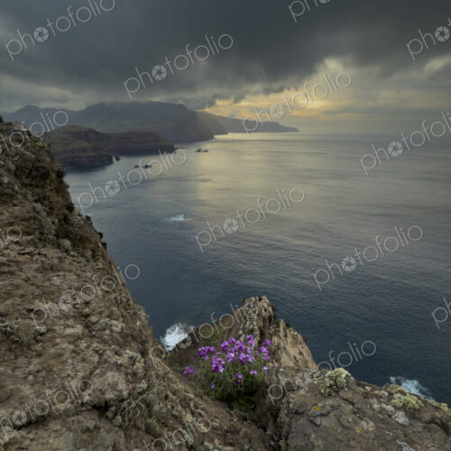 View of the Coastline from Caniçal Viewpoint at Sunset View of the Coastline from Caniçal Viewpoint at Sunset