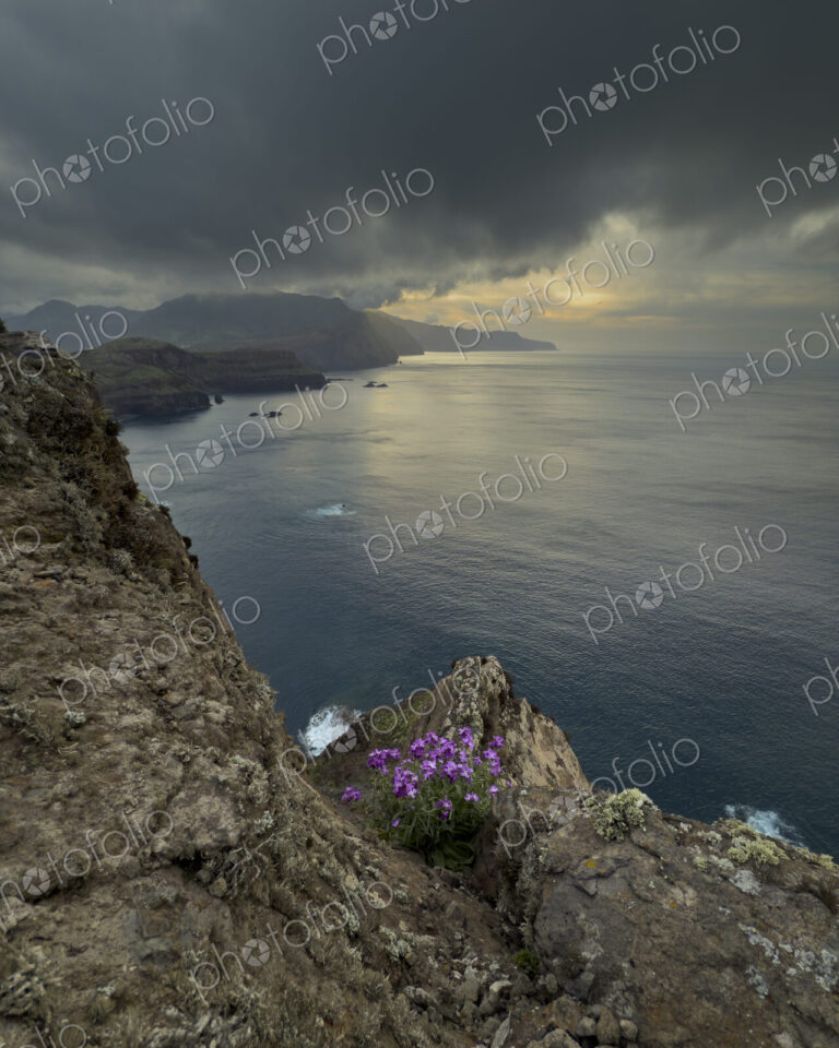 View of the Coastline from Caniçal Viewpoint at Sunset