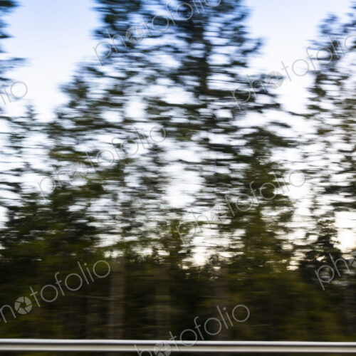 View of trees motion blurred from car window, USA