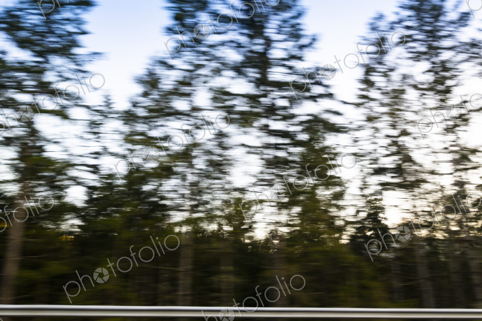 View of trees motion blurred from car window, USA