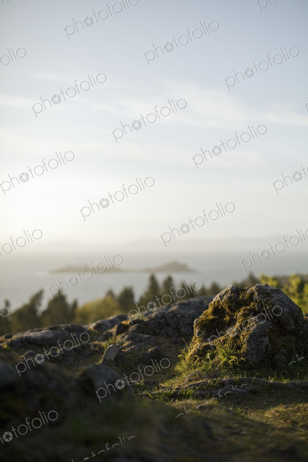View over the landscape of Utah, from a wooded hillside, to an expanse of water, and…