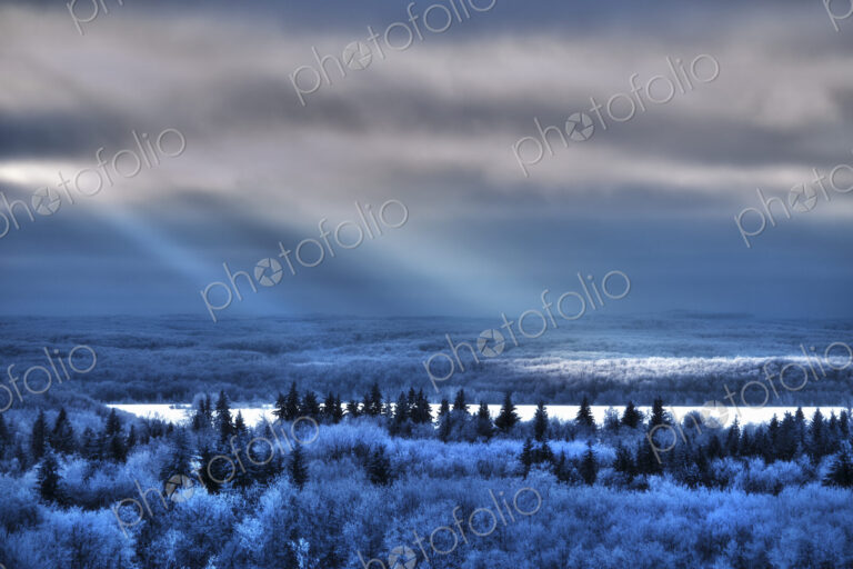 View over the landscape of pine forests, and snowfields and shafts of sunlight…