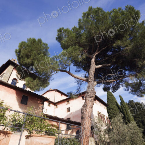 Vigna Maggio Winery, low angle view of a hilltop building surrounded by trees. Vigna Maggio Winery, low angle view of a hilltop building surrounded by trees.