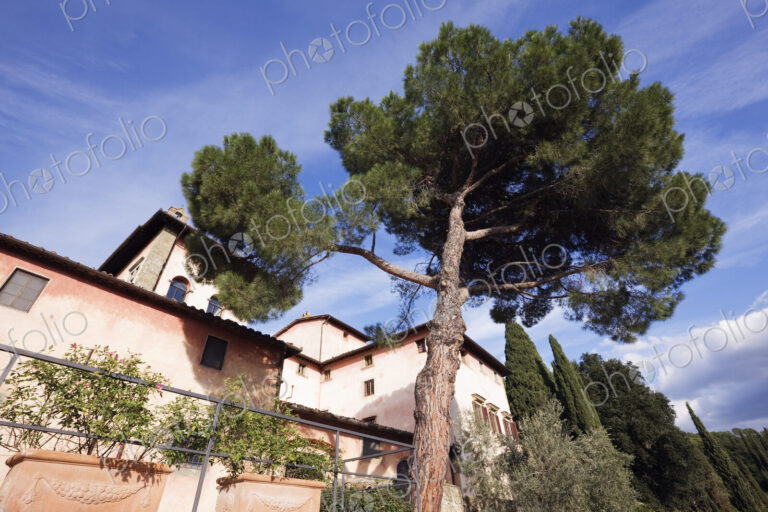 Vigna Maggio Winery, low angle view of a hilltop building surrounded by trees.