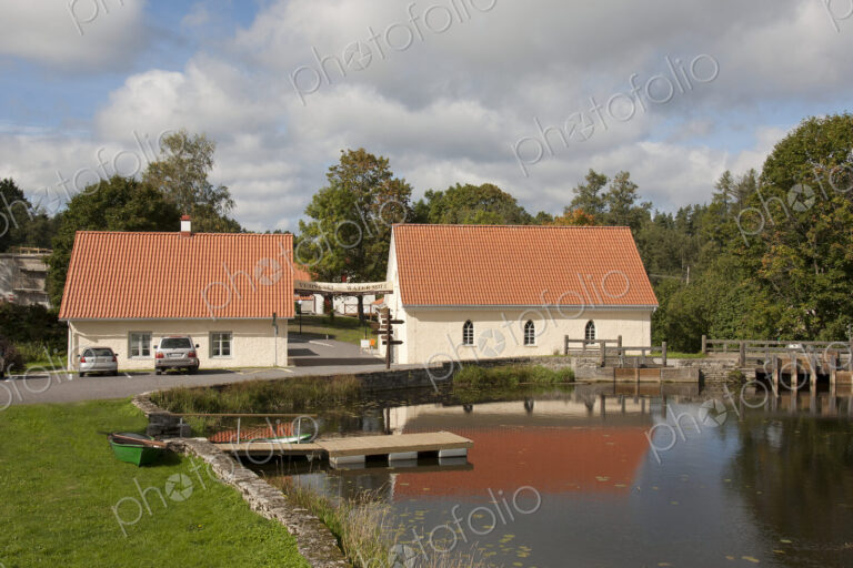 Vihula Manor Pond