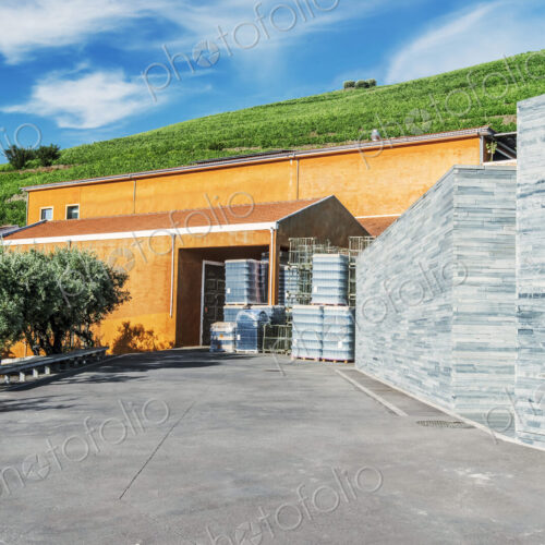 Vineyard and winery buildings in the Douro Valley. Vineyard and winery buildings in the Douro Valley.