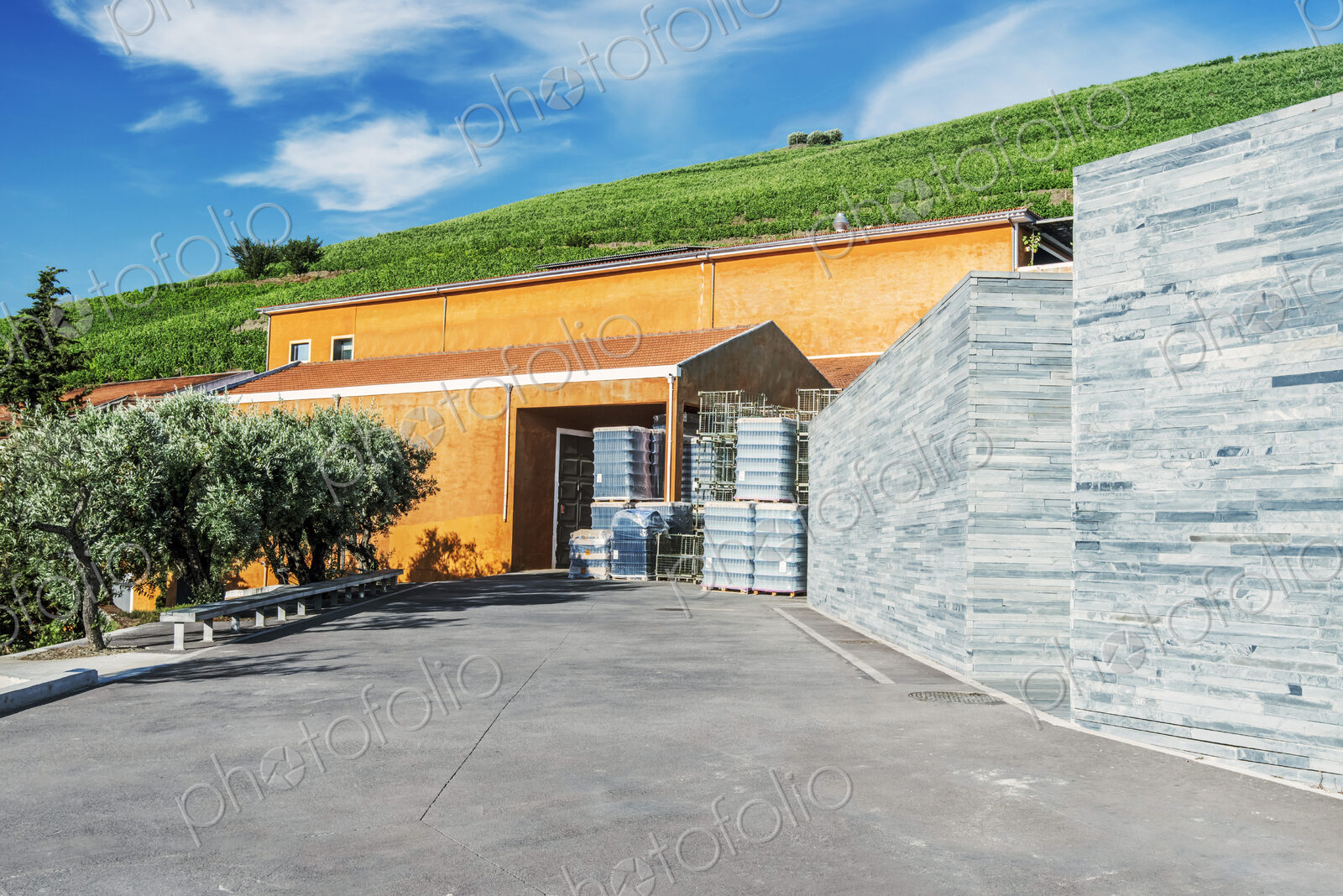 Vineyard and winery buildings in the Douro Valley.