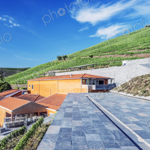 Vineyard and winery buildings in the Douro Valley.