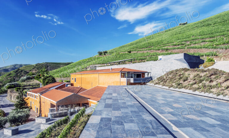 Vineyard and winery buildings in the Douro Valley.