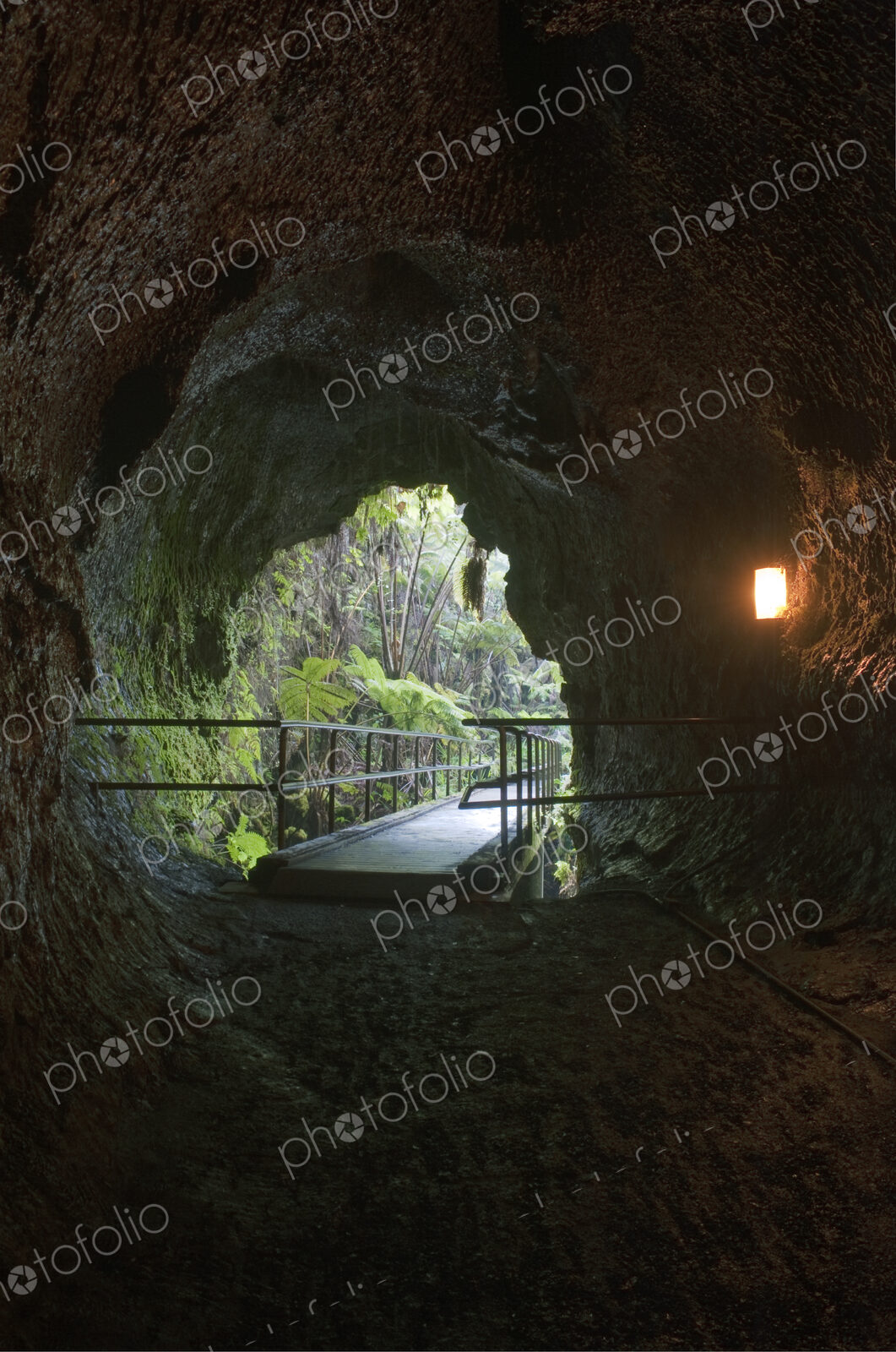 Volcanoes National Park, the N?huku Thurston Lava Tube, a long tubular cave formed…