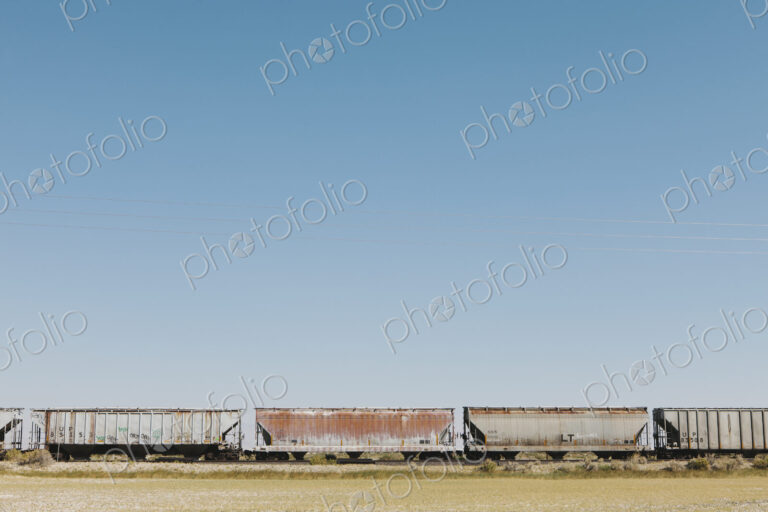Wagons of a train crossing the Black Rock Desert.
