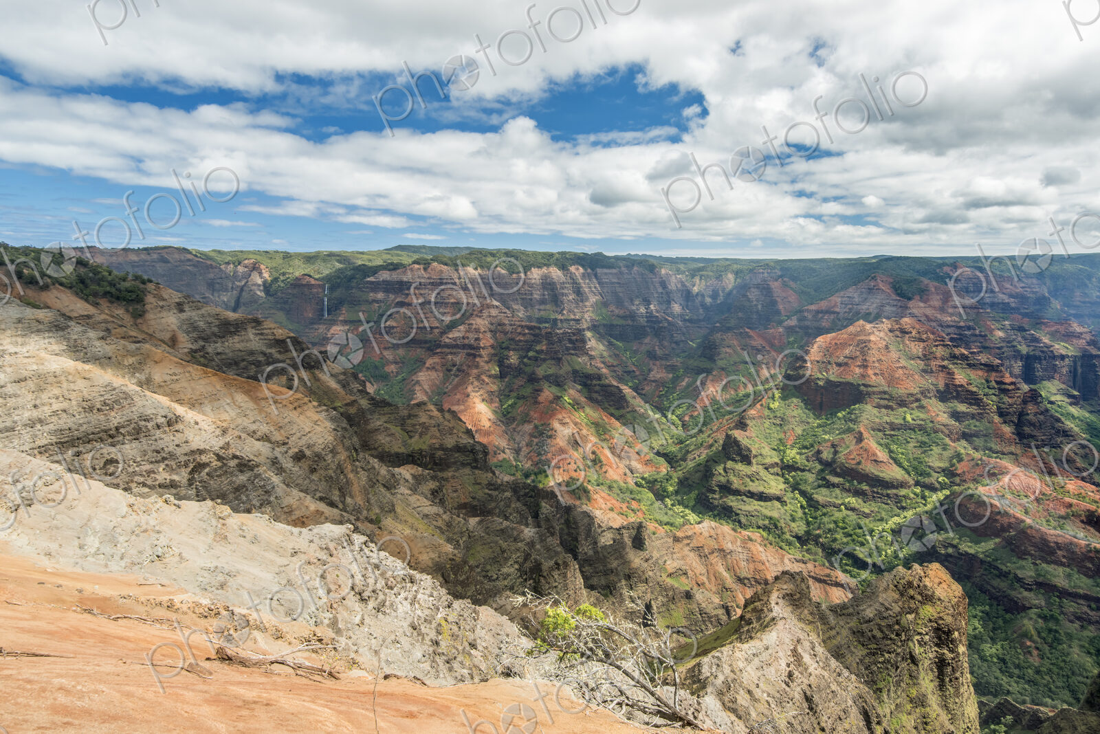 Waimea Canyon, view over the dramatic landscape, canyons and deep valleys.