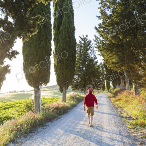 Walker, dirt road, sunset, Tuscany, Italy