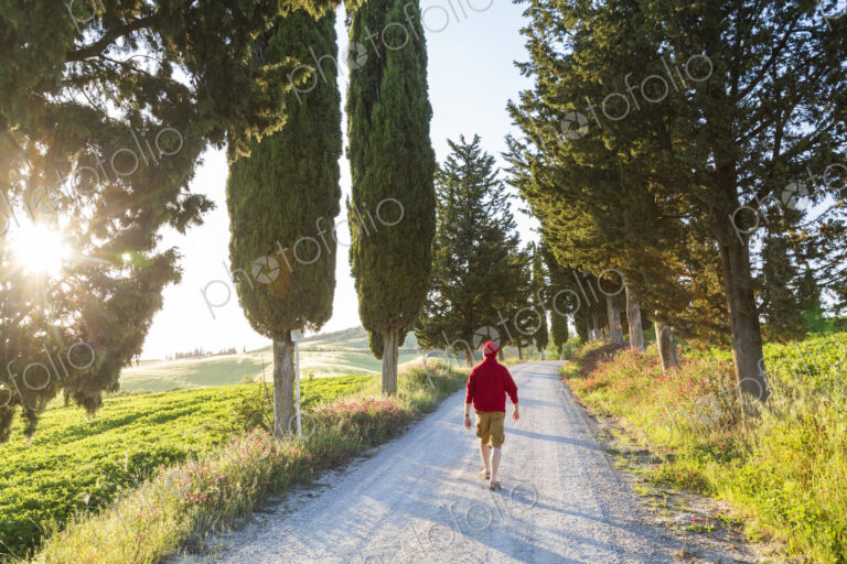 Walker, dirt road, sunset, Tuscany, Italy