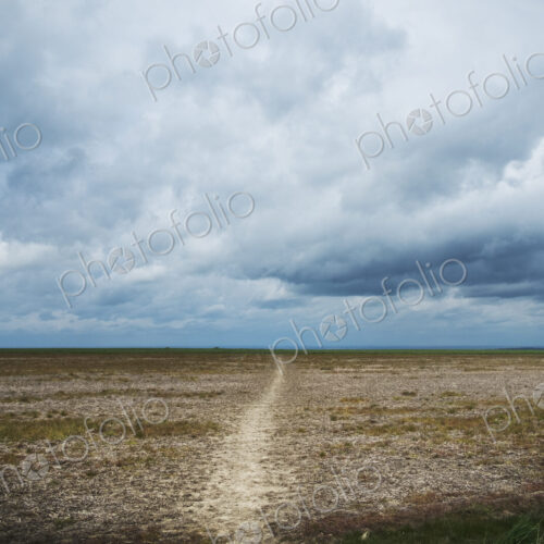 Walking along the ancient Ridgeway path through the county of Berkshire. Walking along the ancient Ridgeway path through the county of Berkshire.