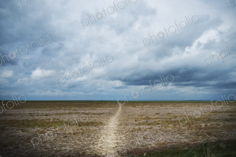 Walking along the ancient Ridgeway path through the county of Berkshire.