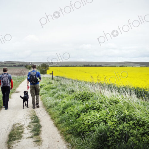 Walking along the ancient Ridgeway path through the county of Berkshire.