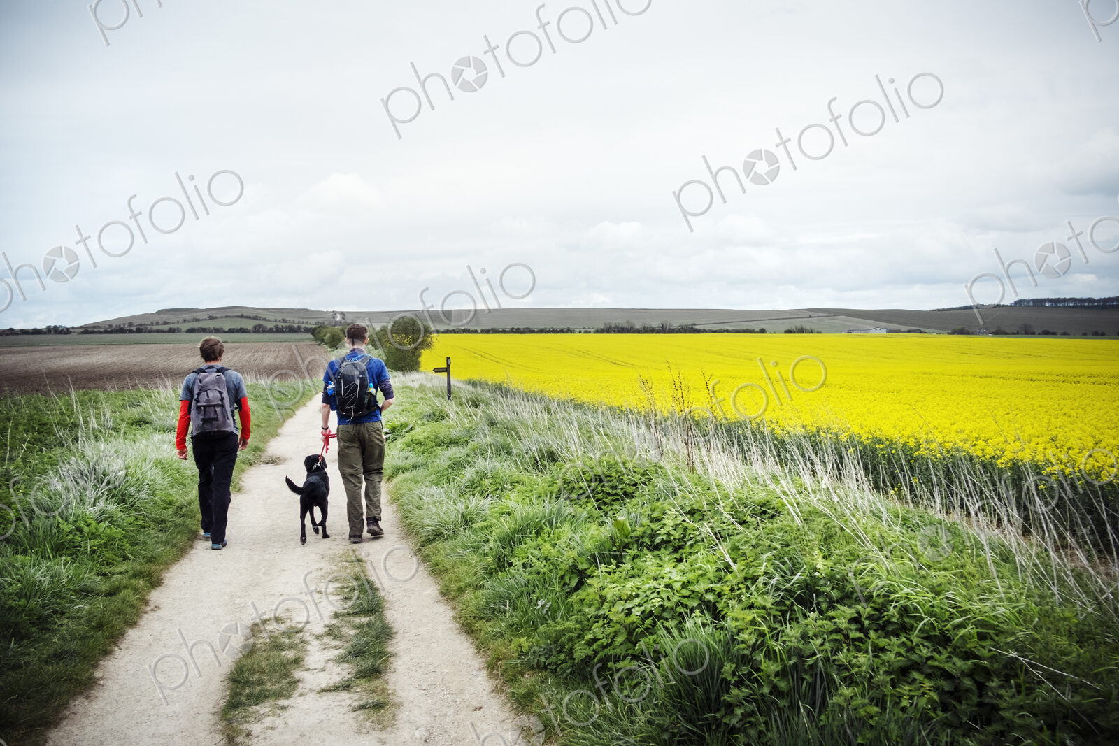 Walking along the ancient Ridgeway path through the county of Berkshire.