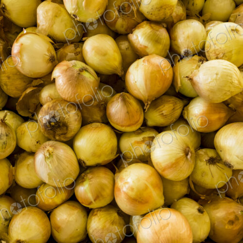Walla Walla sweet onions, a crate of local fresh produce.