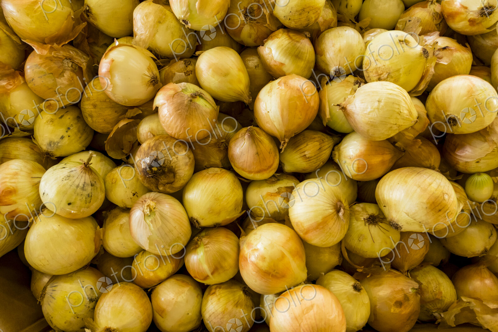 Walla Walla sweet onions, a crate of local fresh produce.