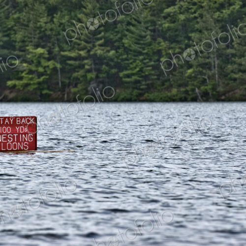 Warning Sign in a Lake