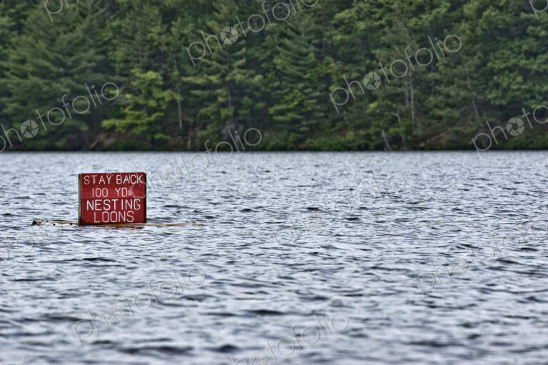 Warning Sign in a Lake