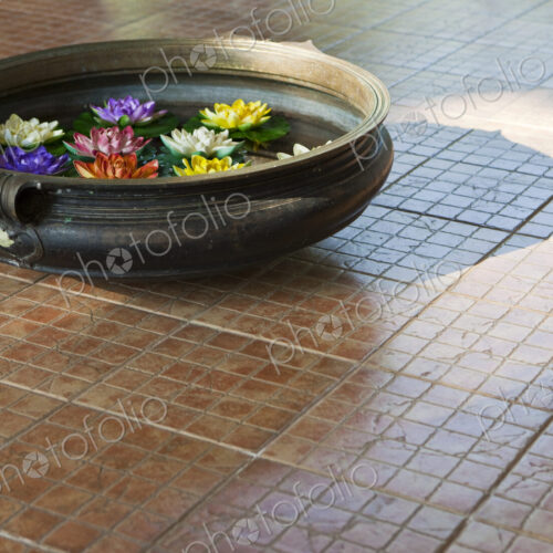 Water Bowl With Flowers on Tile Floor Water Bowl With Flowers on Tile Floor