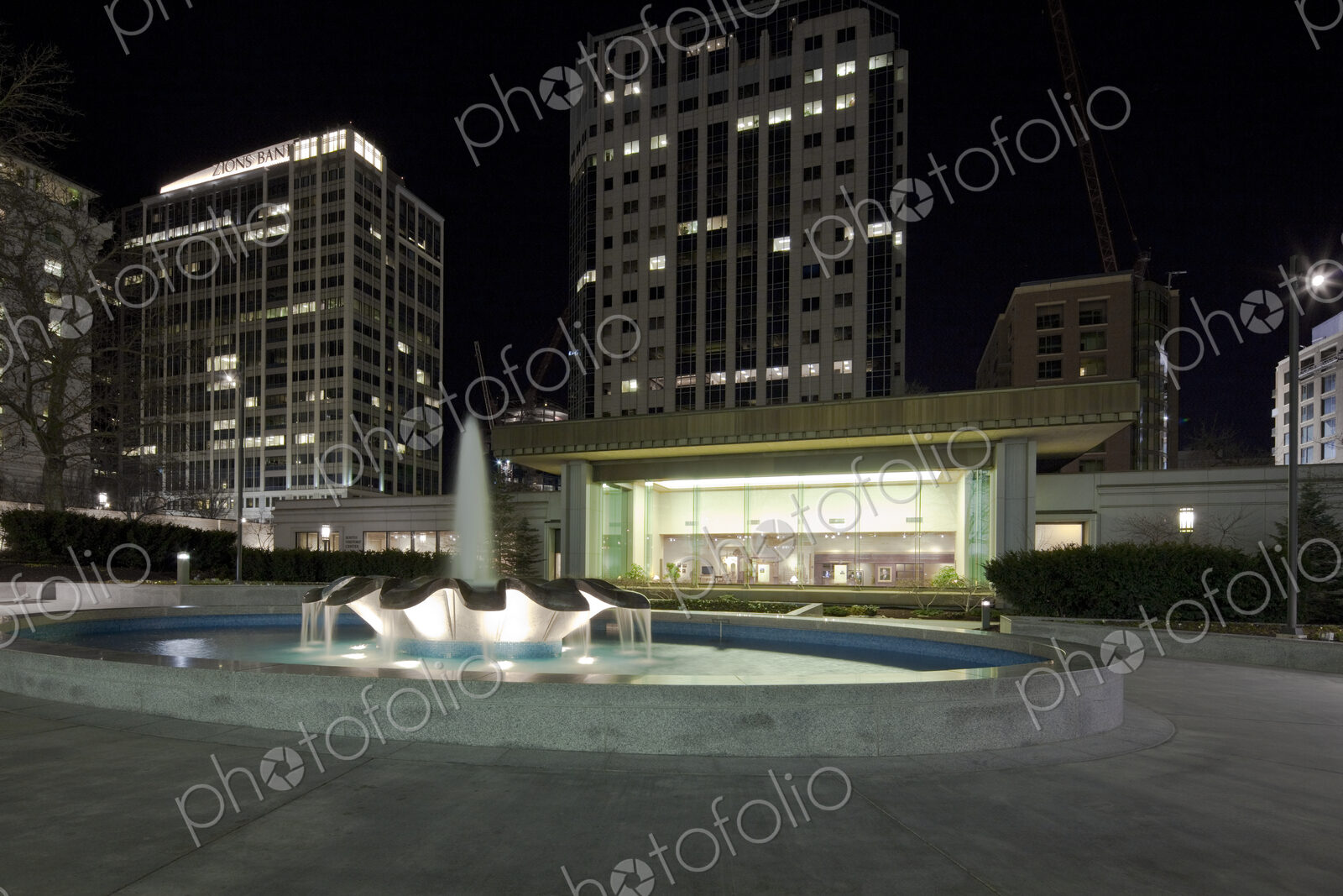 Water Fountain at Night