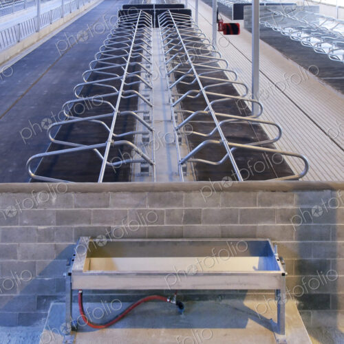 Water Trough and Cattle Cubicles Water Trough and Cattle Cubicles