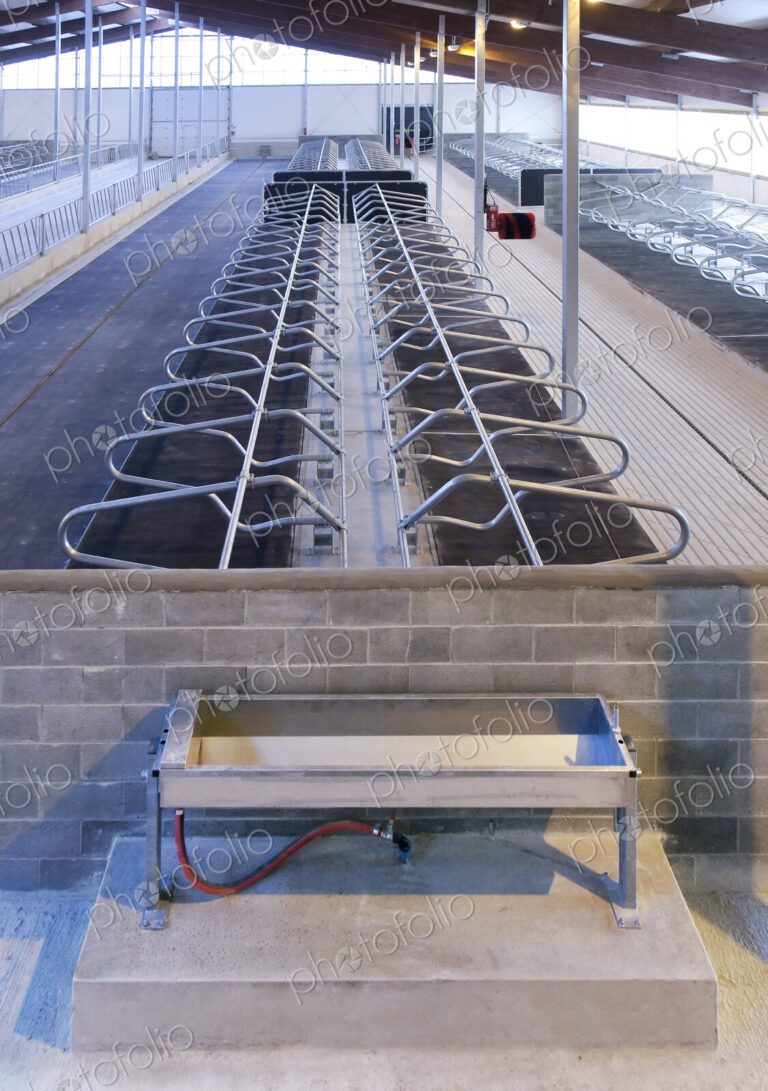 Water Trough and Cattle Cubicles