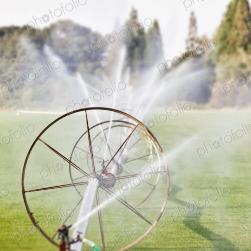 Water hoses on round frames spraying water jets in a field, commercial horticultural… Water hoses on round frames spraying water jets in a field, commercial horticultural…