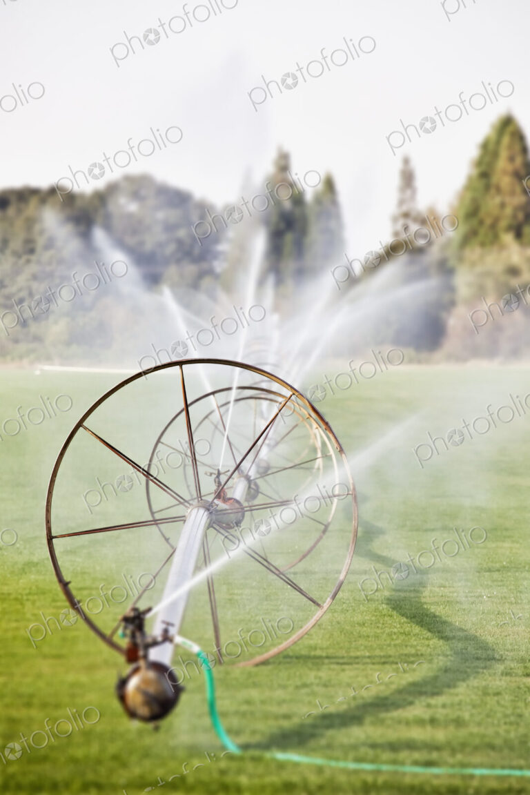 Water hoses on round frames spraying water jets in a field, commercial horticultural…