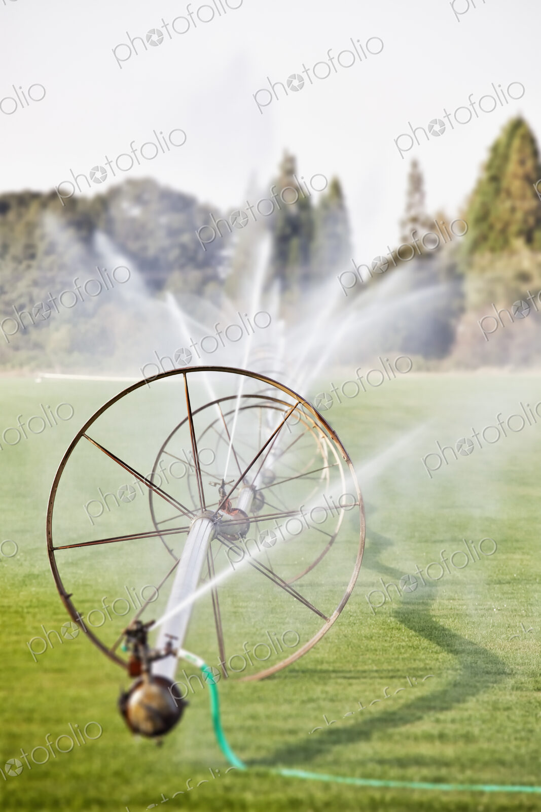 Water hoses on round frames spraying water jets in a field, commercial horticultural…