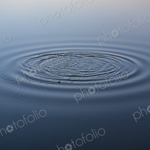 Water ring on lake, Seattle, WA, USA Water ring on lake, Seattle, WA, USA