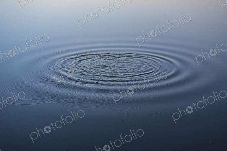 Water ring on lake, Seattle, WA, USA