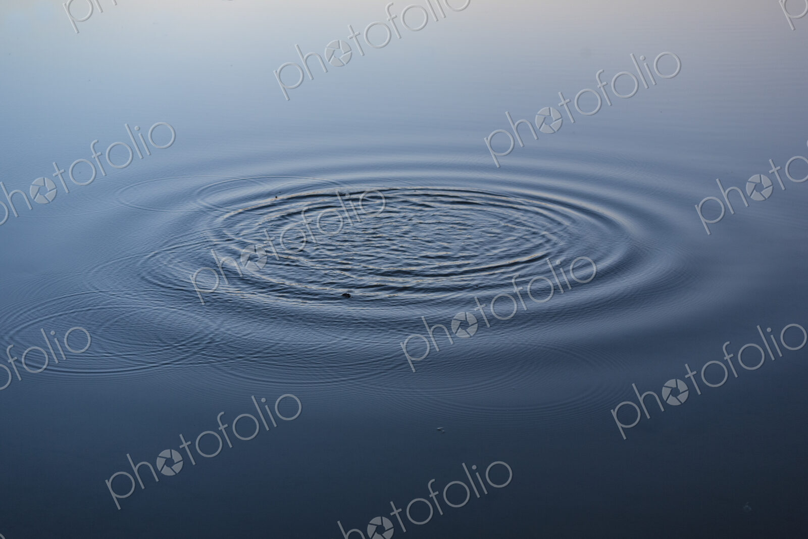Water ring on lake, Seattle, WA, USA