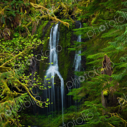 Waterfall, Columbia River Gorge, Oregon