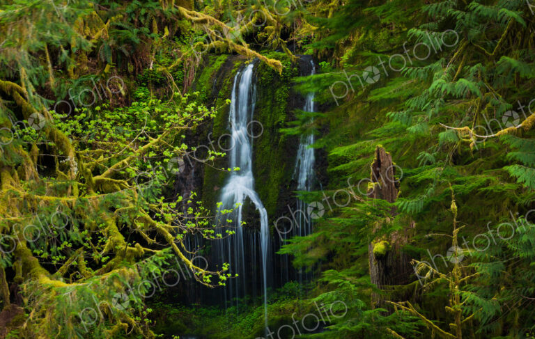 Waterfall, Columbia River Gorge, Oregon